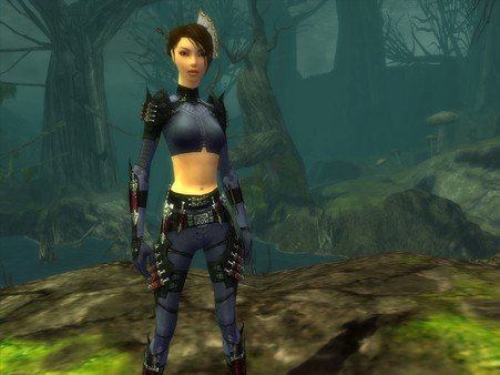 Guild Wars Factions Steam Gift